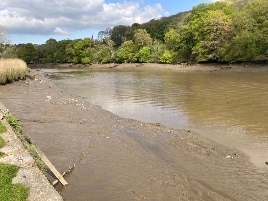 Photograph of the river by Cotehele looking upriver